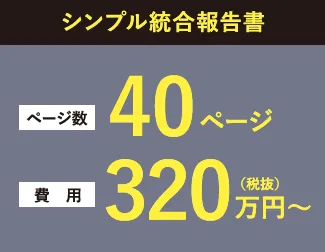 シンプル統合報告書 ページ数40ページ 費用320万円～(税抜)